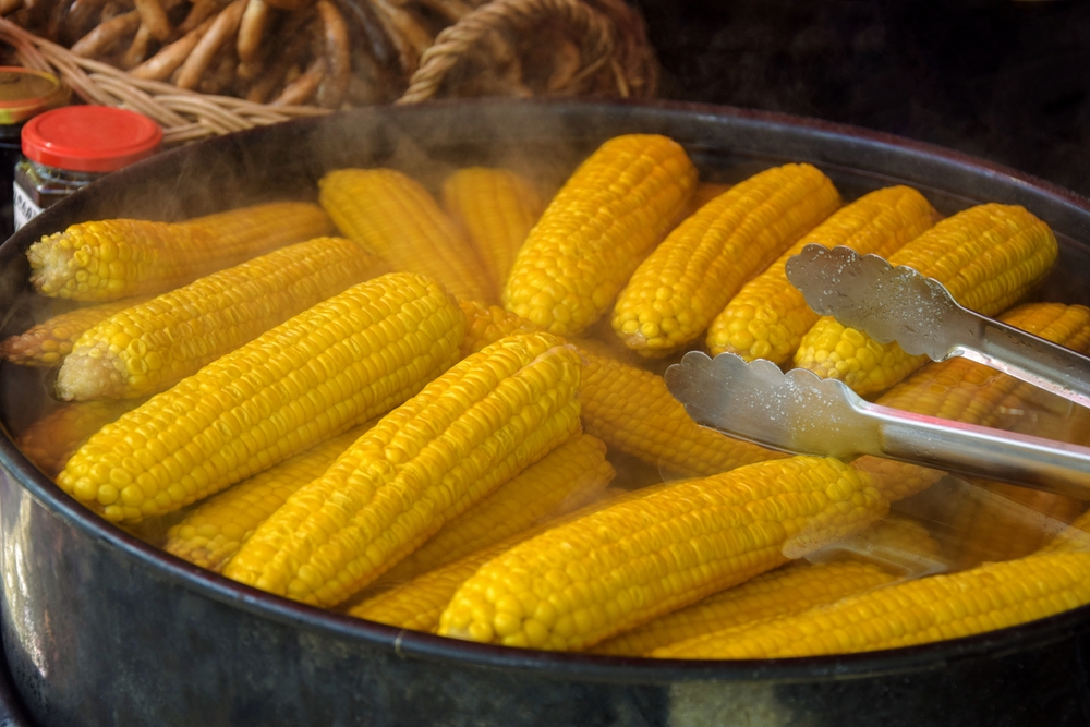 shutterstock_2231315737.jpg