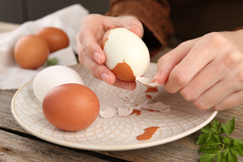shutterstock_2406584195.jpg