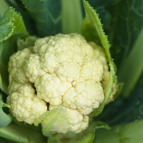 Téli kedvencünk: a karfiol
